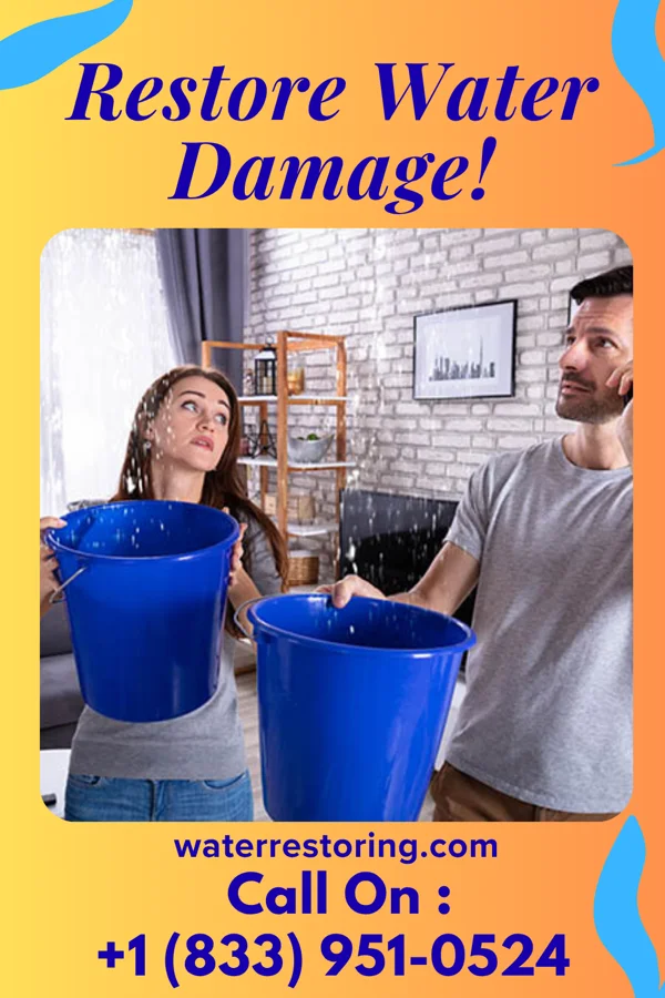 water restoration Elite Disaster Recovery Experts Alto