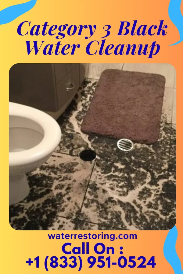 Category 3 Black Water Cleanup in Alto, GA